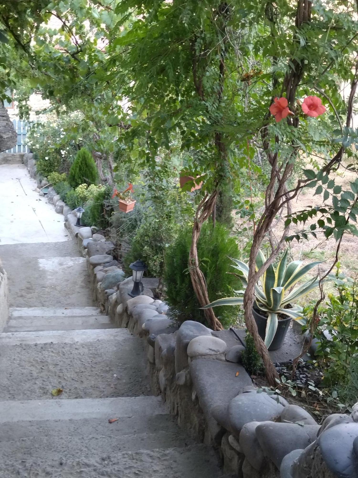 מלון Mtsʼkhetʼa Garden And Panorama מראה חיצוני תמונה